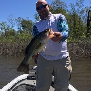 Meet your Posher, Jay